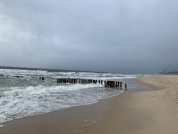 IMG_1943.jpg IMG_1943.jpg