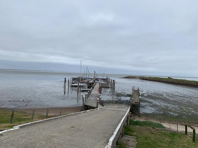 IMG_1951.jpg IMG_1951.jpg