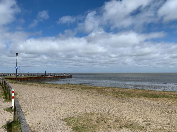 IMG_1979.jpg IMG_1979.jpg