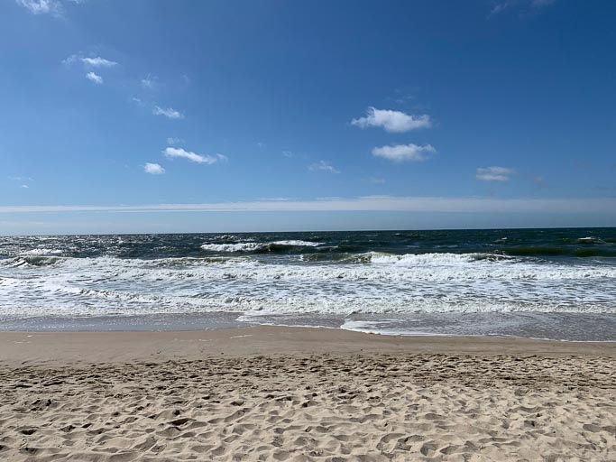 IMG_2007.jpg IMG_2007.jpg