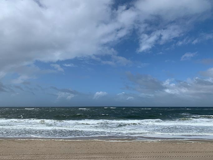 IMG_4541.jpg IMG_4541.jpg