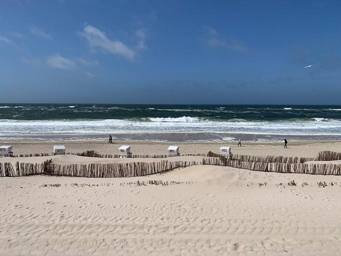 IMG_4551.jpg IMG_4551.jpg