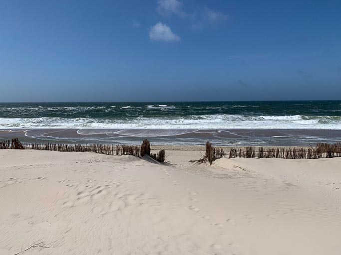 IMG_4558.jpg IMG_4558.jpg