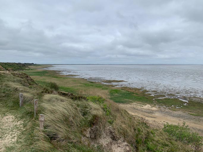 IMG_4575.jpg IMG_4575.jpg