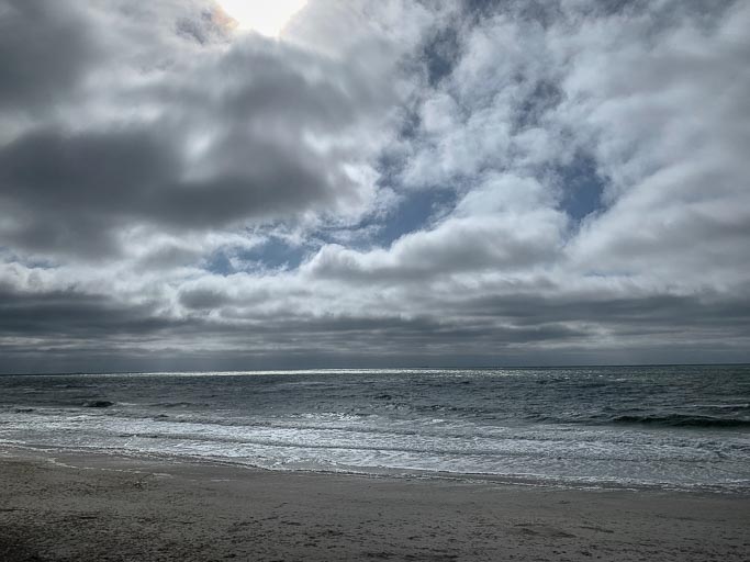 IMG_4595.jpg IMG_4595.jpg