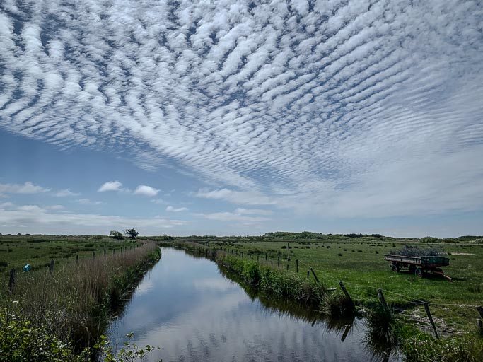 IMG_4598.jpg IMG_4598.jpg