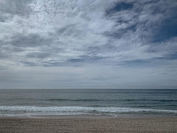 IMG_4601.jpg IMG_4601.jpg