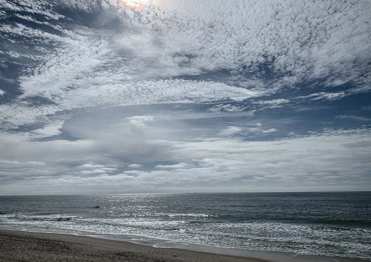 IMG_4604.jpg IMG_4604.jpg