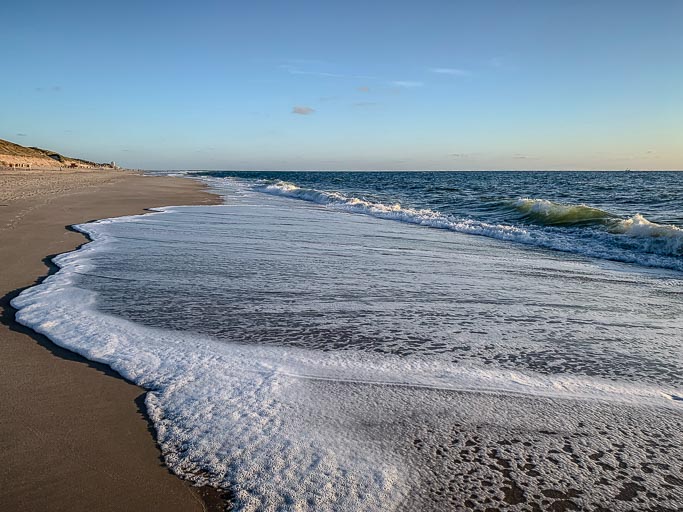 IMG_4669.jpg IMG_4669.jpg