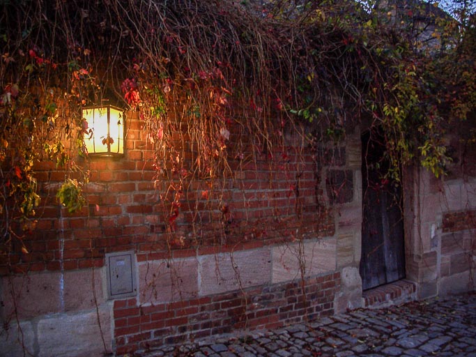 CIMG8555.jpg CIMG8555.jpg