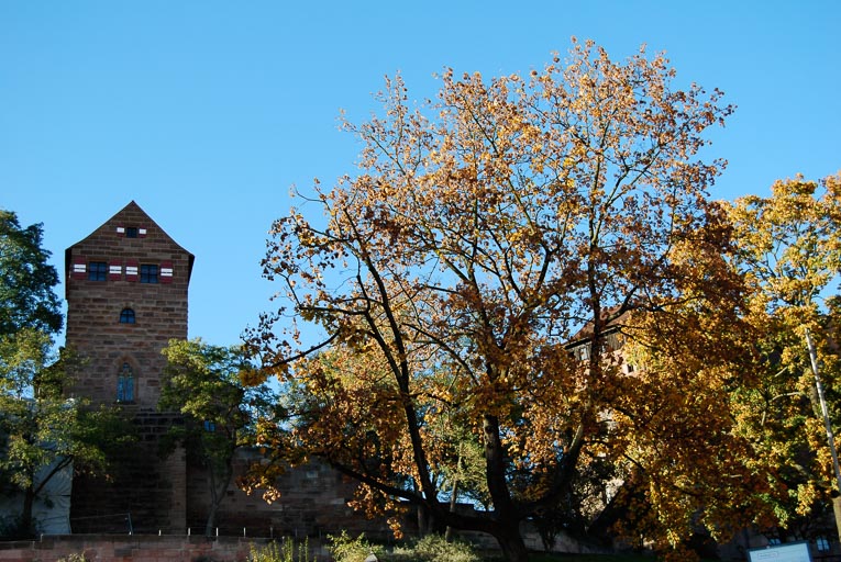 DSC_0570.jpg DSC_0570.jpg