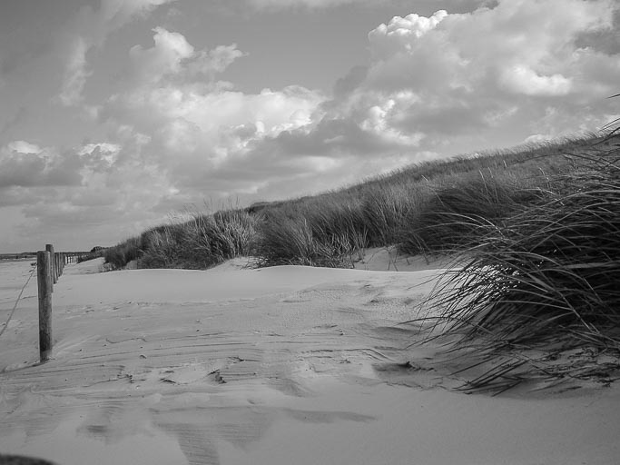 Fischland-Darss-Zingst