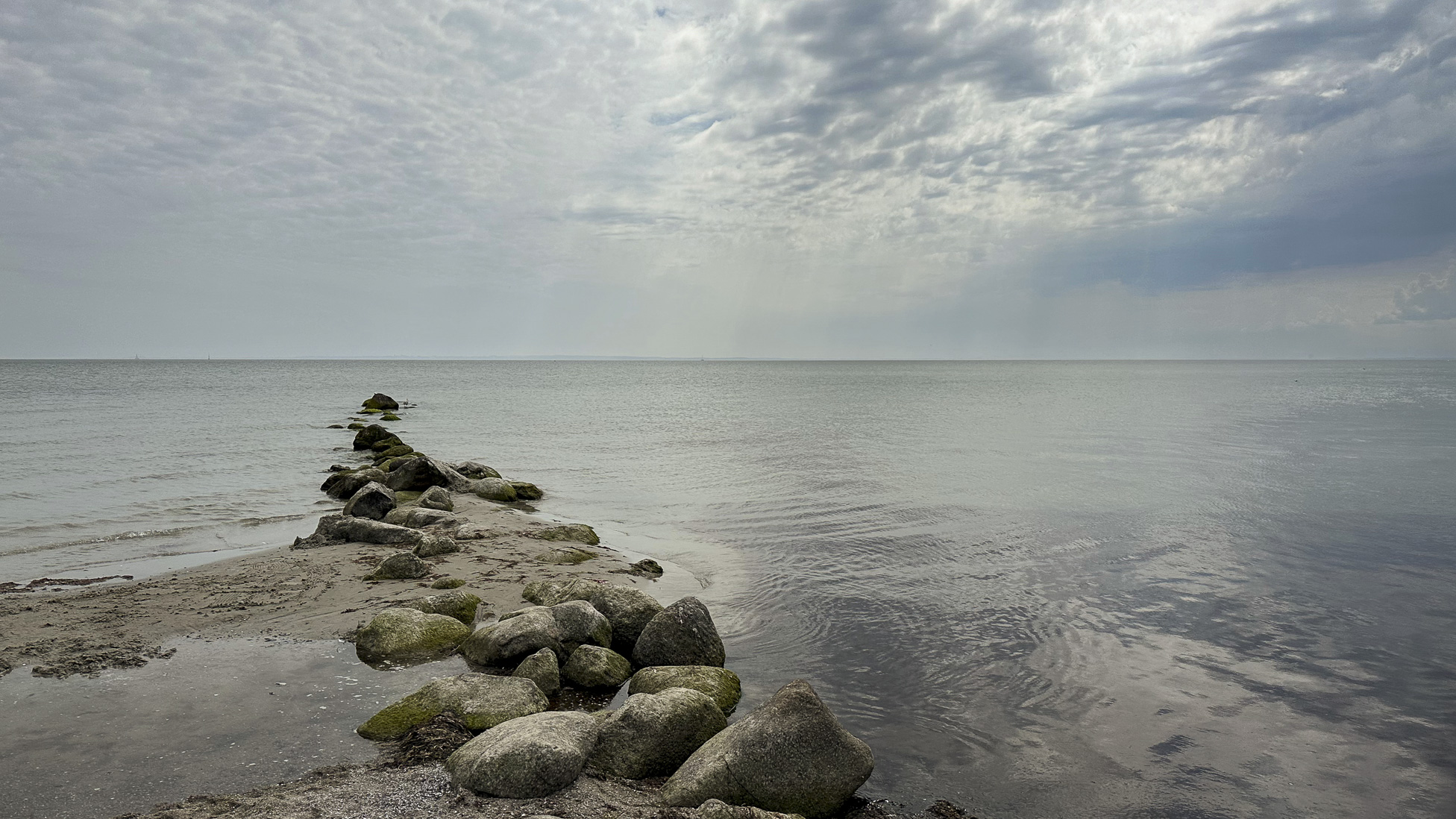 IMG_2487.jpg