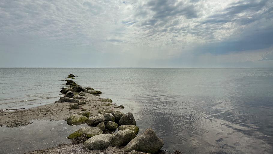 IMG_2487.jpg IMG_2487.jpg