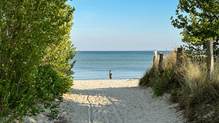 IMG_2512.jpg IMG_2512.jpg