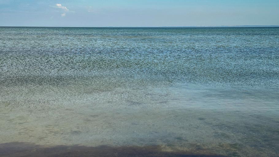 IMG_2517.jpg IMG_2517.jpg