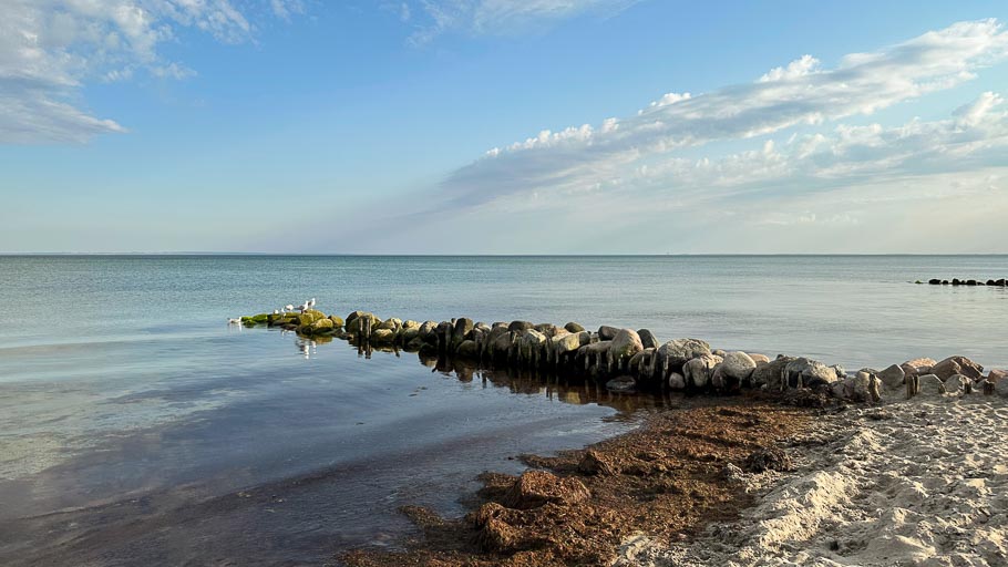 IMG_2519.jpg IMG_2519.jpg