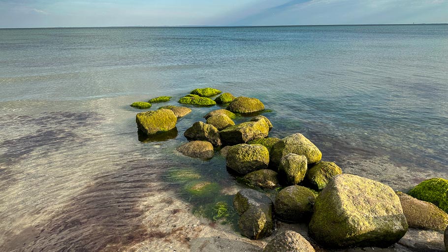 IMG_2522.jpg IMG_2522.jpg