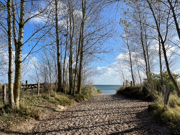 IMG_2898.jpg IMG_2898.jpg