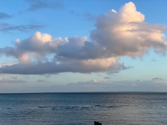 IMG_2906.jpg IMG_2906.jpg