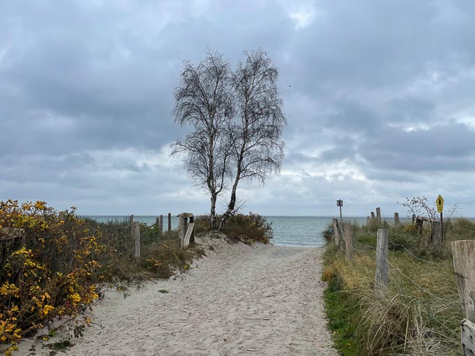 IMG_3128.jpg IMG_3128.jpg