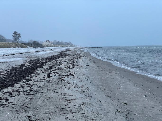 IMG_3522.jpg IMG_3522.jpg