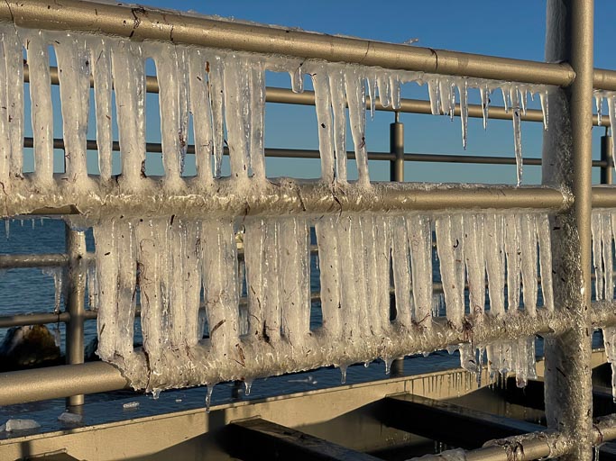 IMG_3549.jpg IMG_3549.jpg