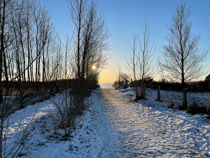 IMG_3563.jpg IMG_3563.jpg