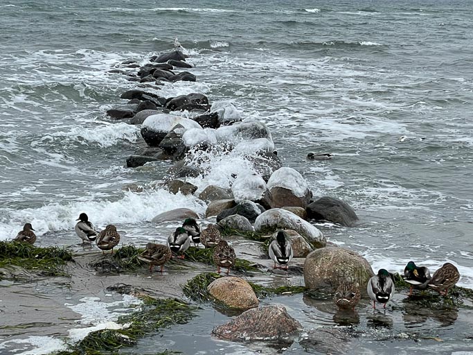 IMG_3607.jpg IMG_3607.jpg