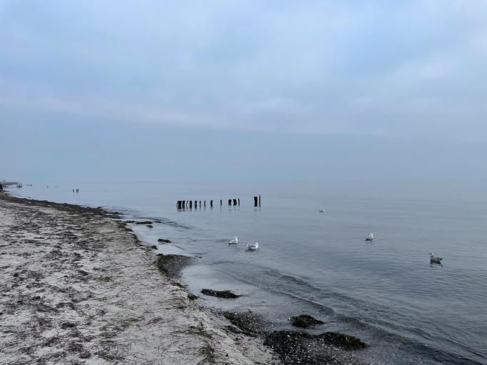 IMG_3632.jpg IMG_3632.jpg