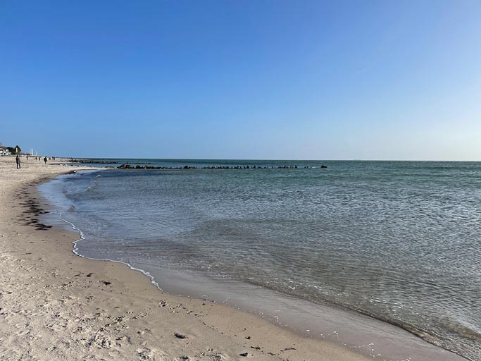 IMG_4137.jpg IMG_4137.jpg