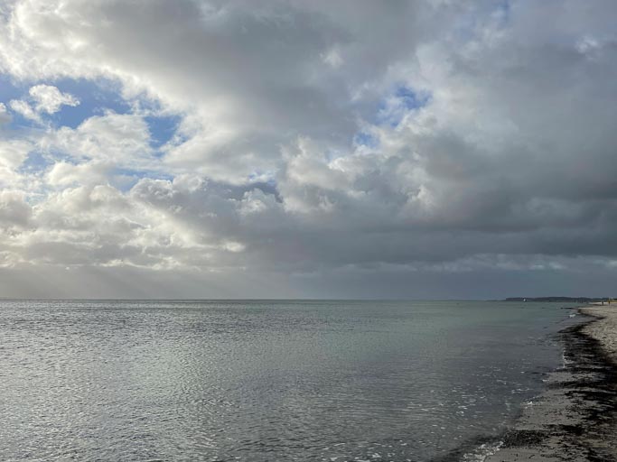 IMG_4153.jpg IMG_4153.jpg