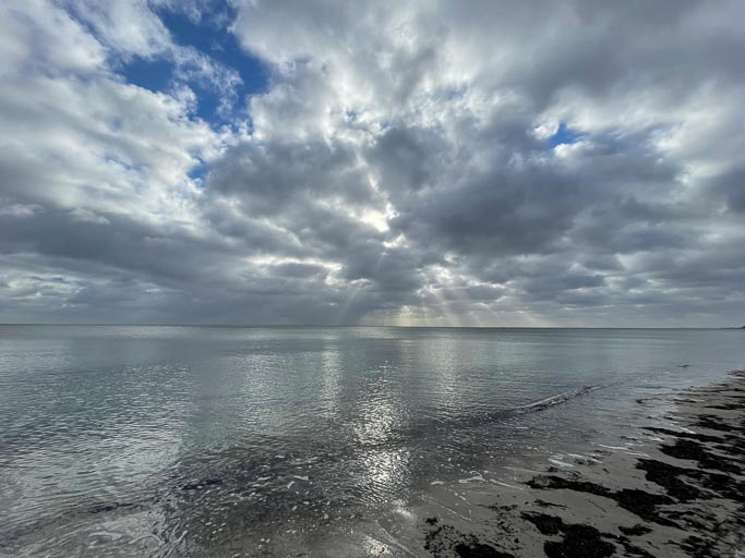 IMG_4162.jpg IMG_4162.jpg