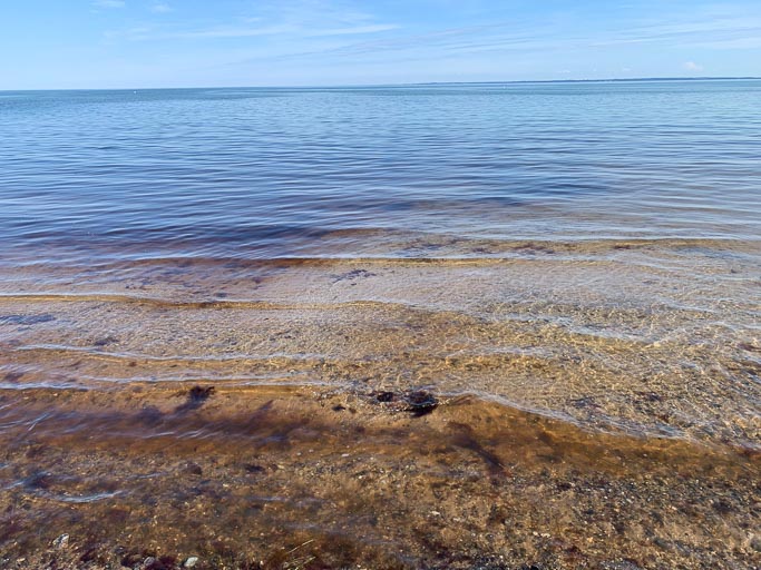 IMG_4893.jpg IMG_4893.jpg