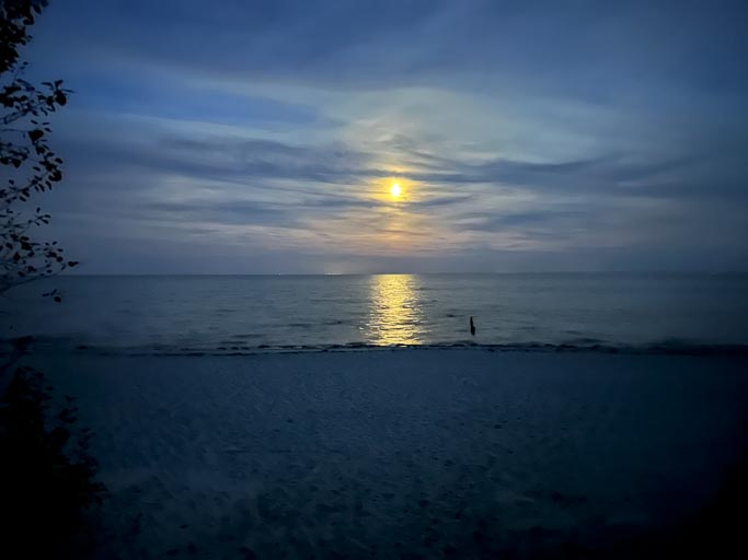 IMG_6787.jpg IMG_6787.jpg