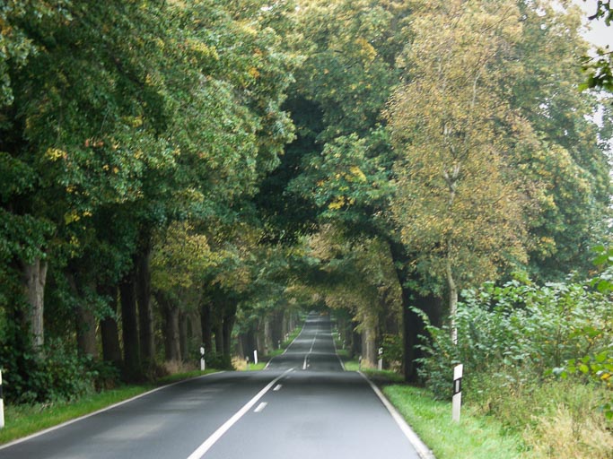 CIMG3667.jpg CIMG3667.jpg