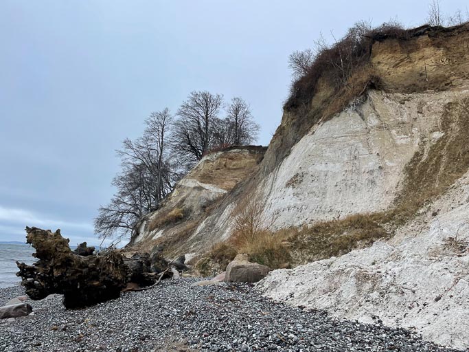 IMG_4421.jpg IMG_4421.jpg