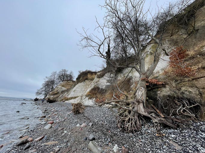 IMG_4429.jpg IMG_4429.jpg