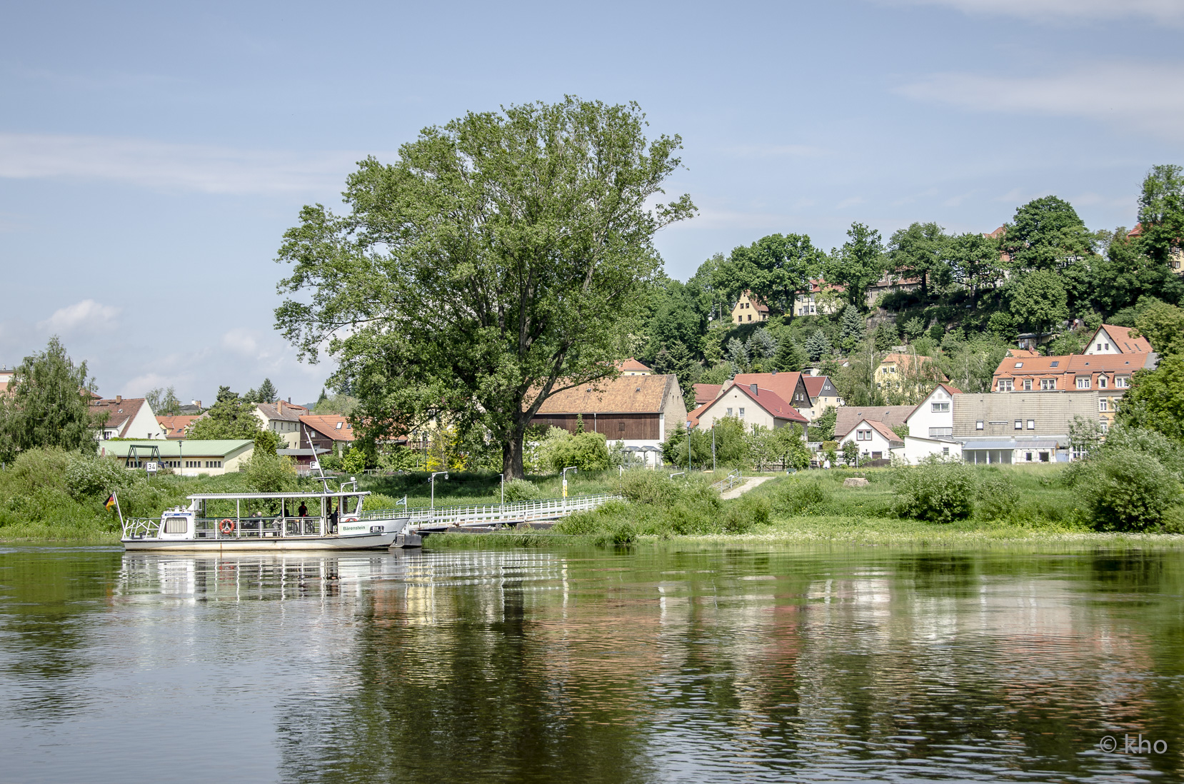 _D707184.jpg