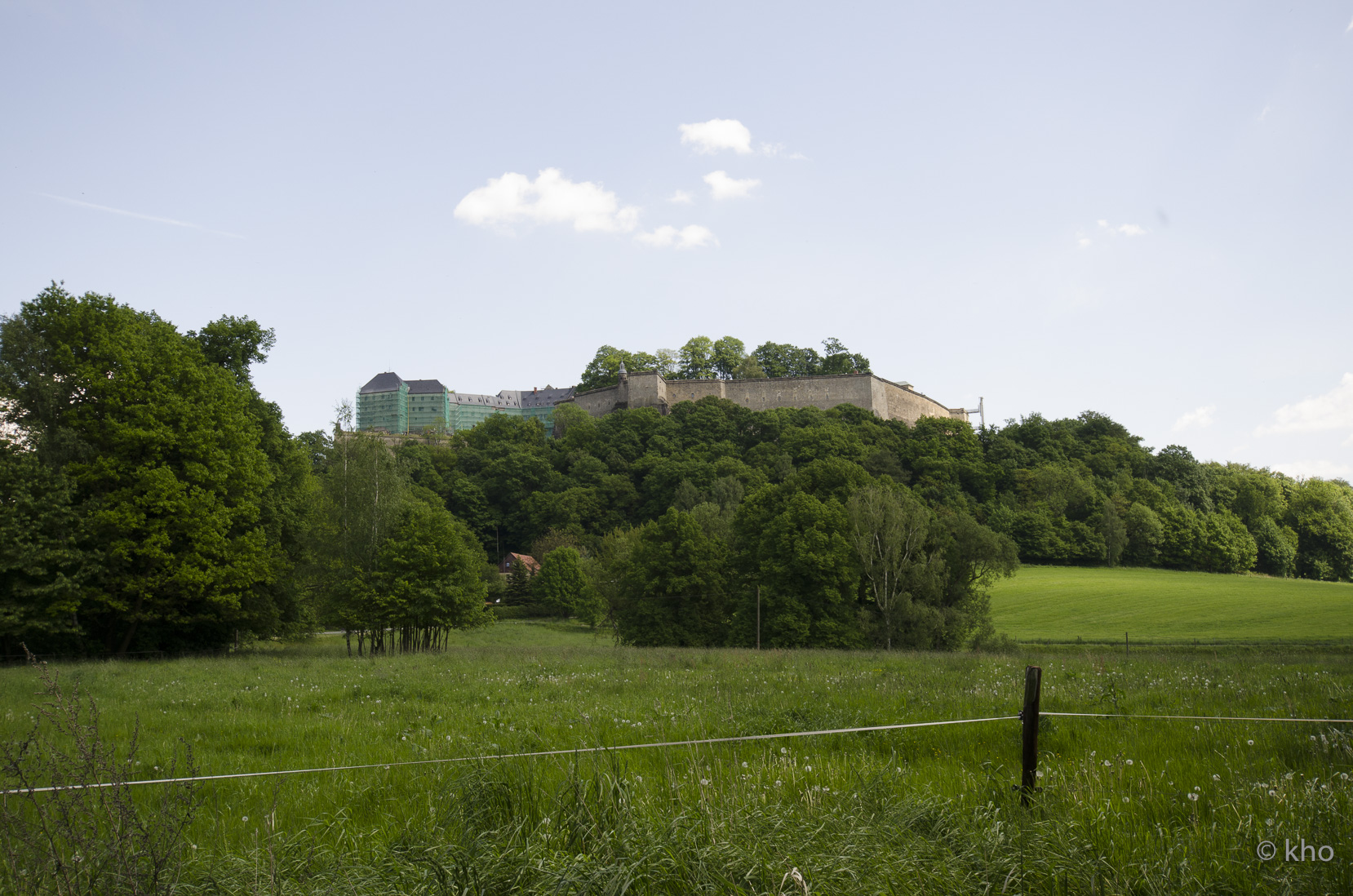 _D707453.jpg