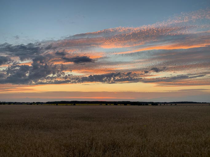 IMG_5717.jpg IMG_5717.jpg