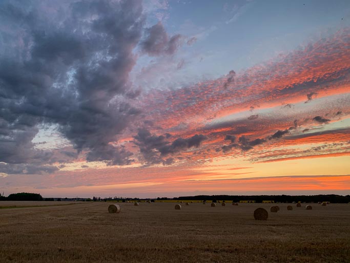 IMG_5738.jpg IMG_5738.jpg