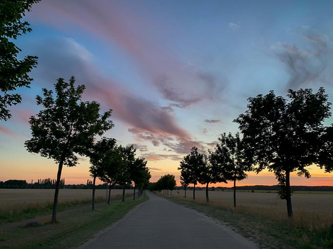 IMG_5800.jpg IMG_5800.jpg