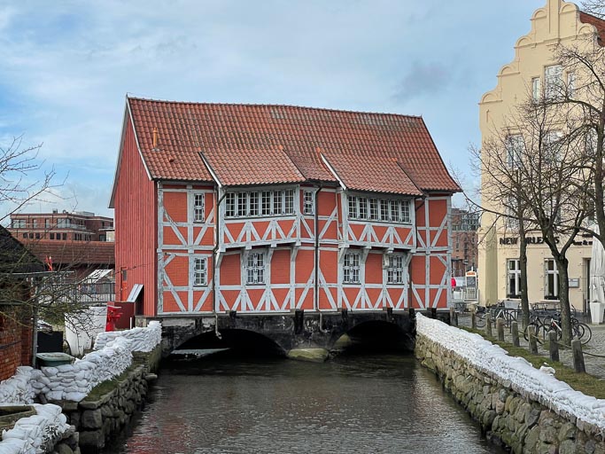 IMG_4305.jpg IMG_4305.jpg