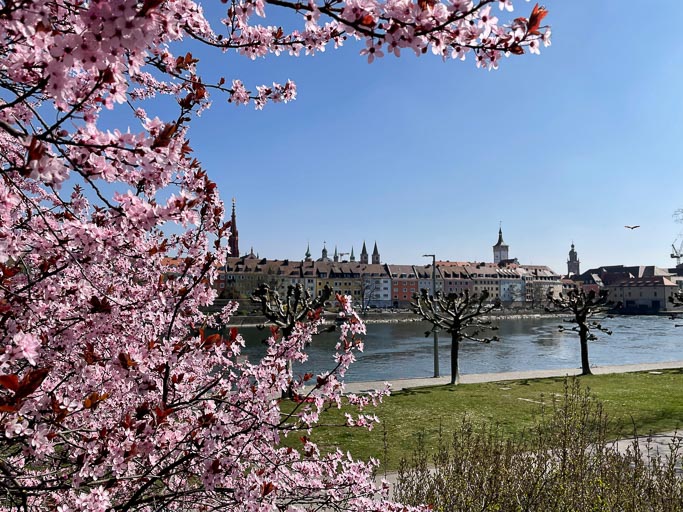 IMG_4820.jpg IMG_4820.jpg