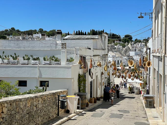 IMG_6330.jpg IMG_6330.jpg