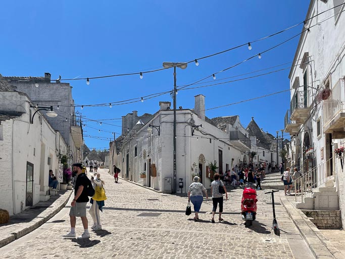 IMG_6337.jpg IMG_6337.jpg