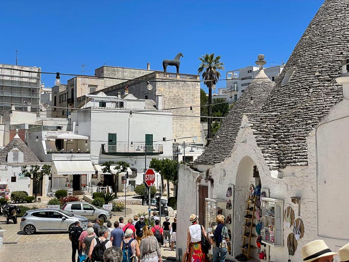 IMG_6343.jpg IMG_6343.jpg