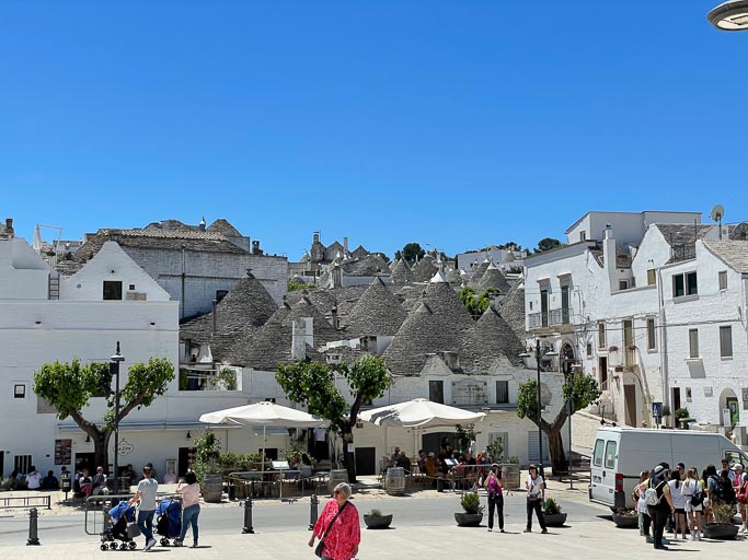 IMG_6347.jpg IMG_6347.jpg