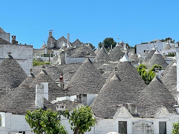 IMG_6348.jpg IMG_6348.jpg